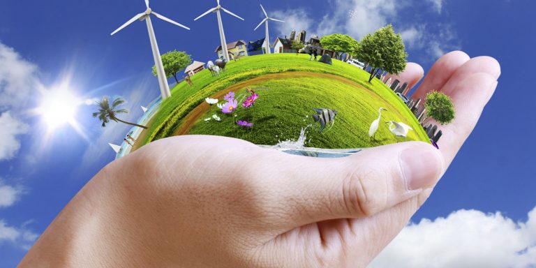 Influence of Business environment on the success of an organisation