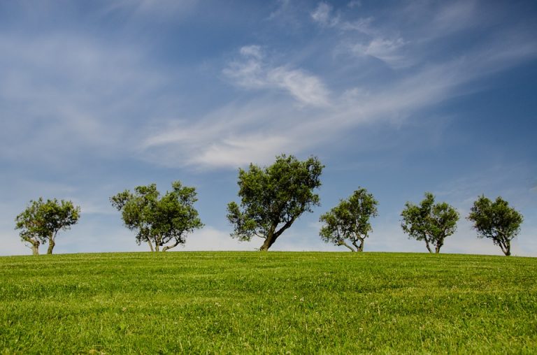 Understanding the Impact of the Environment on Company Motivation
