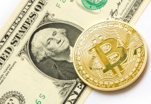 Voting App Launched with Two Options, Powered by Bitcoin cash bitcoin