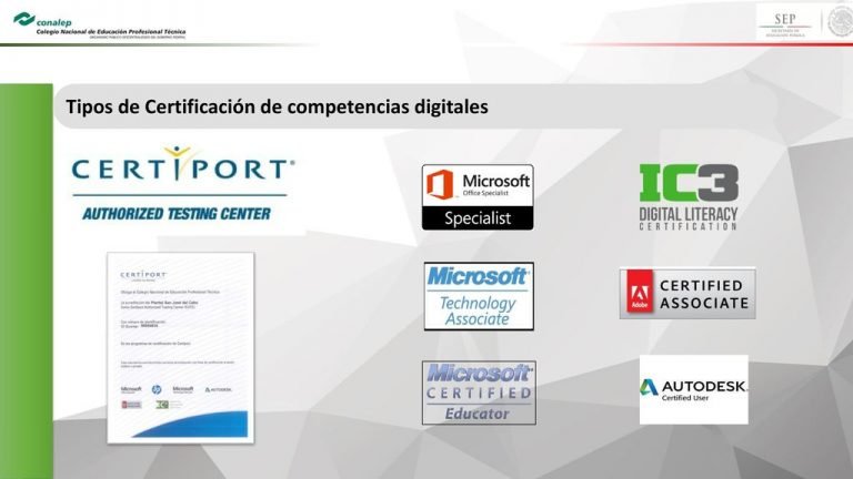 tipos